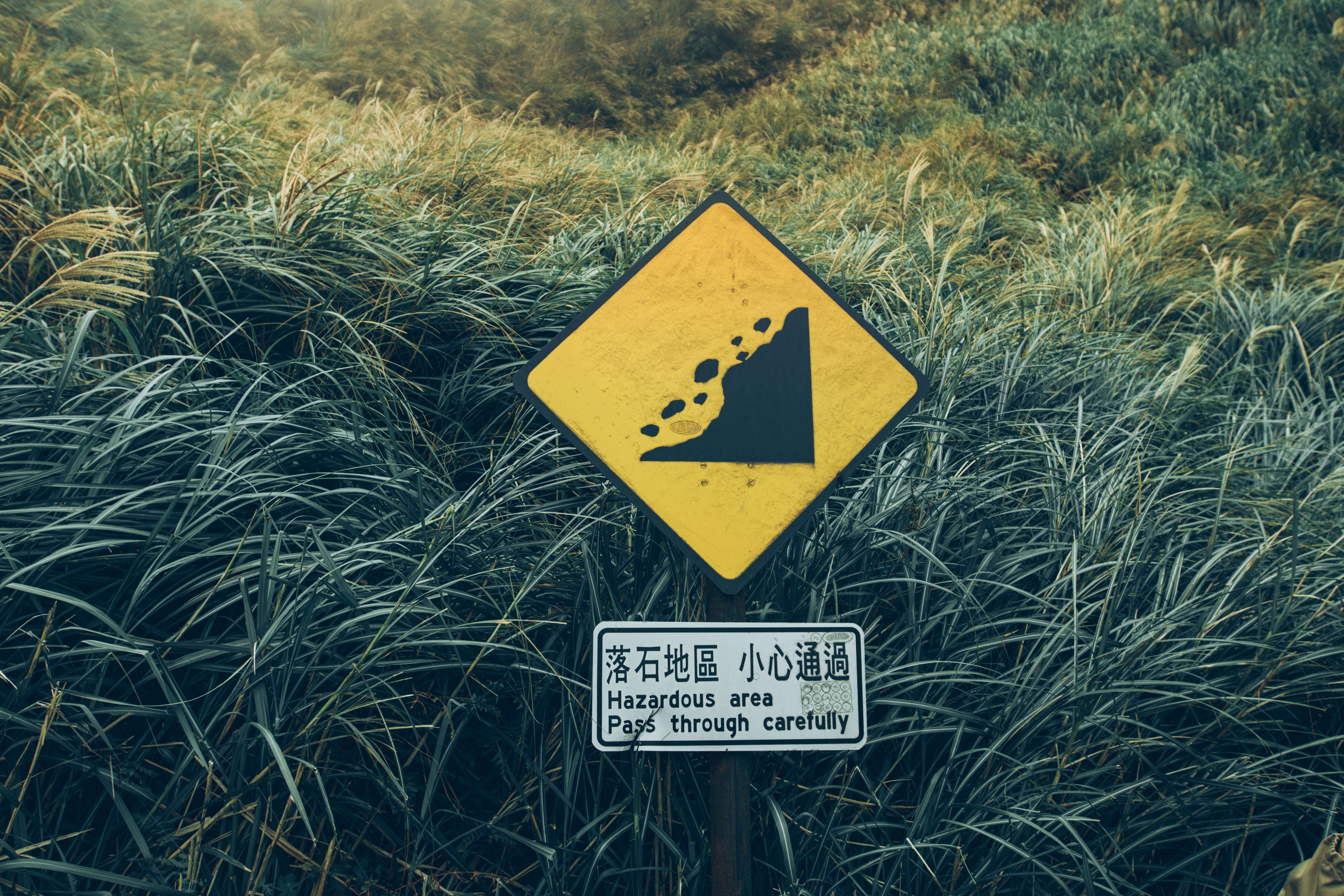 Black and yellow metal signage beside green grasses during daytime, in Yangmingshan, Taipei, Taiwan