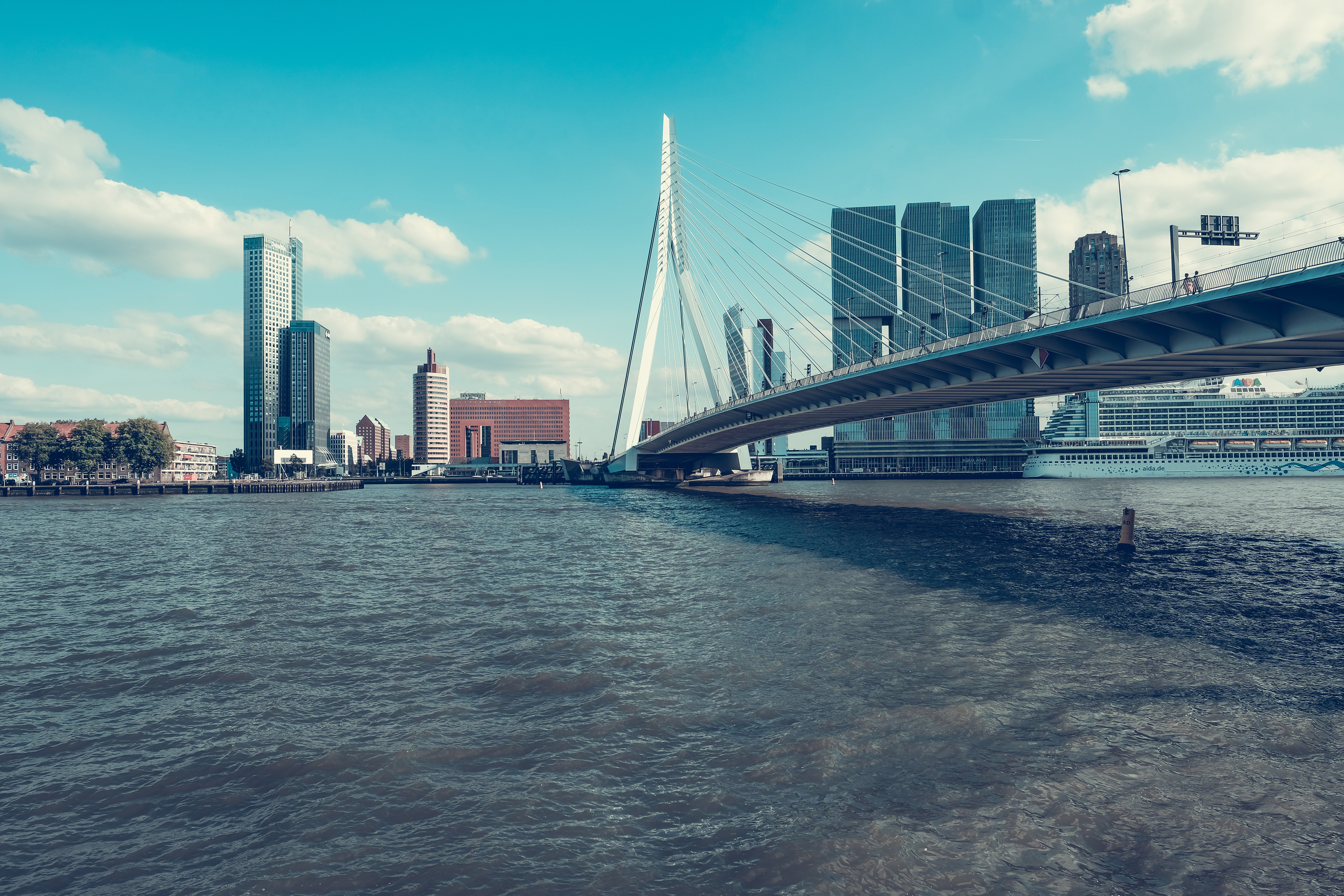 Photo of Erasmusbrug, Rotterdam, The Netherlands, displaying gray concrete bridge near buildings.